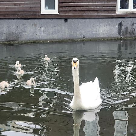 Lovely Canal Boat In Little Venice For Family & Friends ロンドン エクステリア 写真
