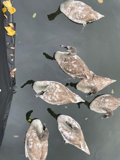 Lovely Canal Boat In Little Venice For Family & Friends ロンドン エクステリア 写真
