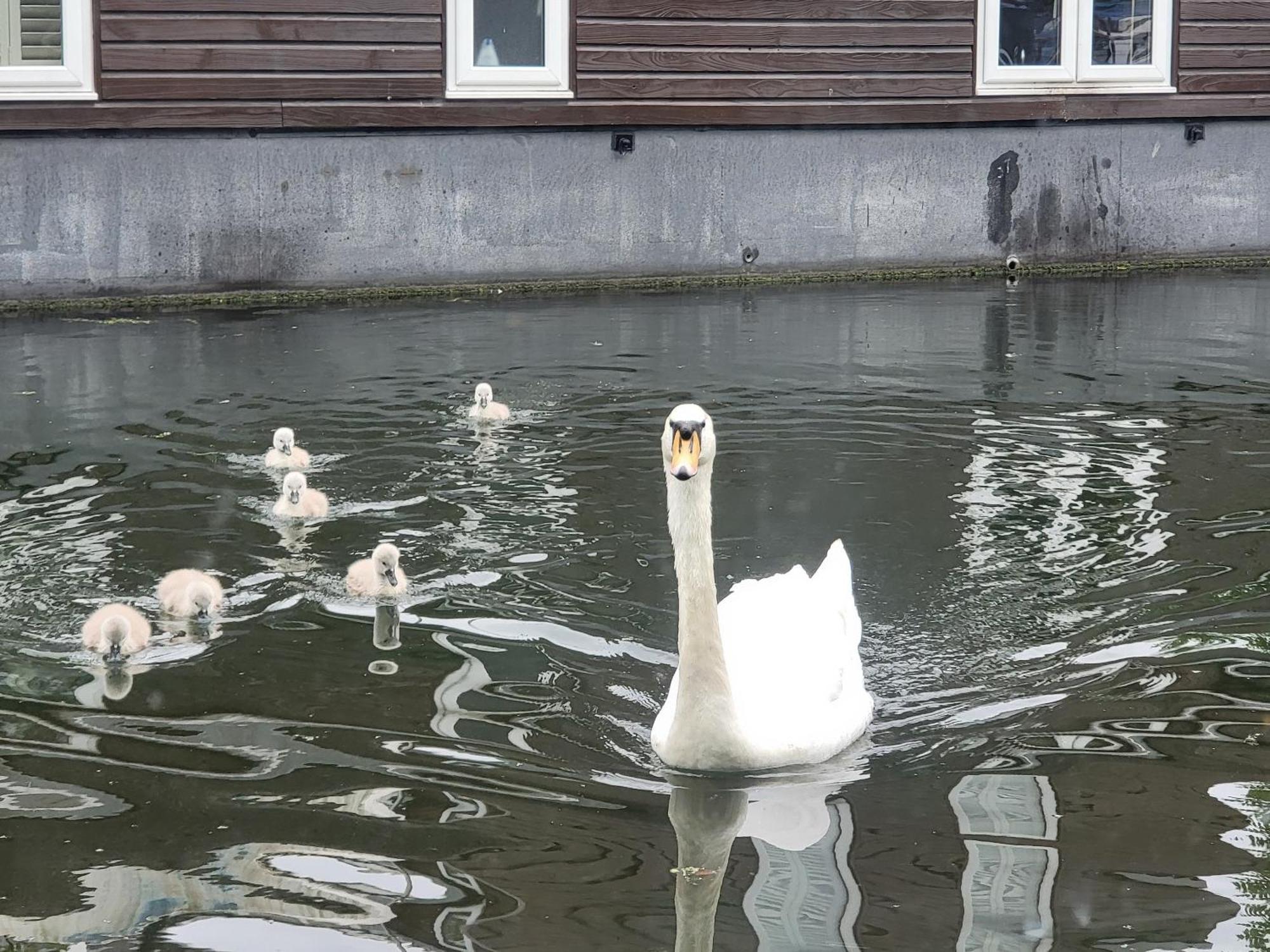 Lovely Canal Boat In Little Venice For Family & Friends ロンドン エクステリア 写真